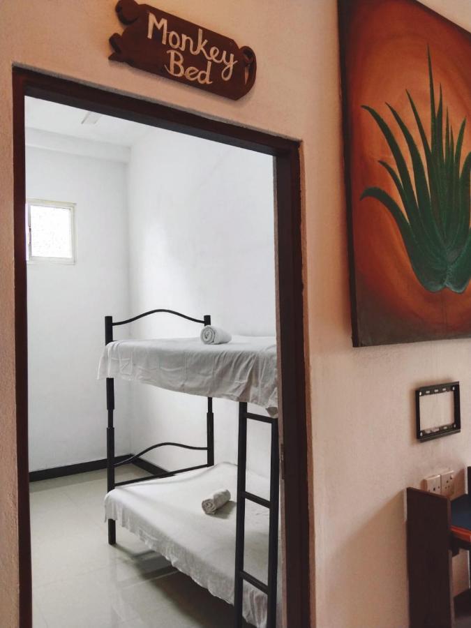 Aloevera Villa Negombo Exterior photo