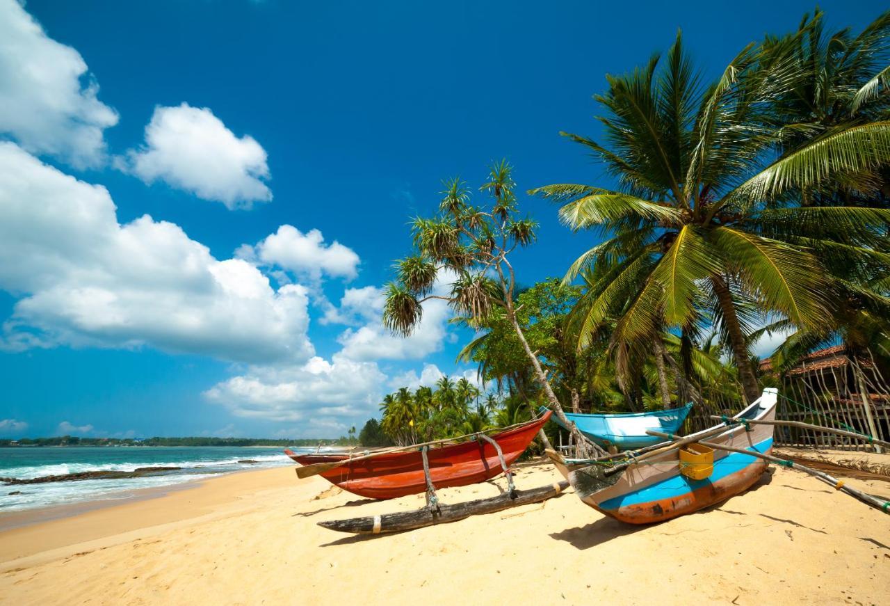 Aloevera Villa Negombo Exterior photo